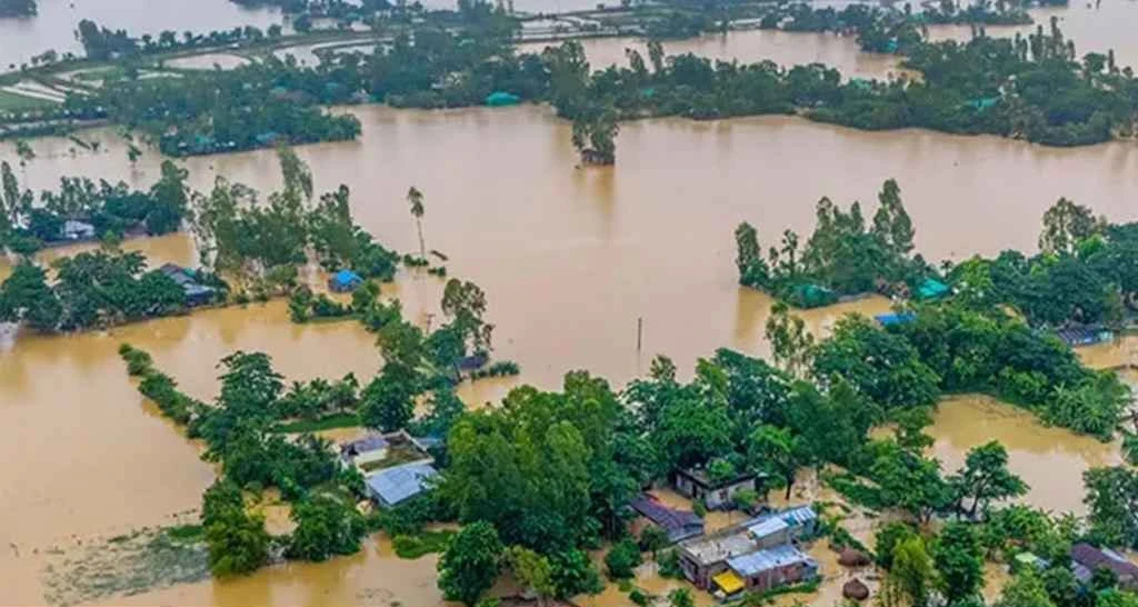 বন্যায় চট্টগ্রাম বিভাগে প্রাণিসম্পদ খাতে ৭৭ কোটি টাকার ক্ষতি