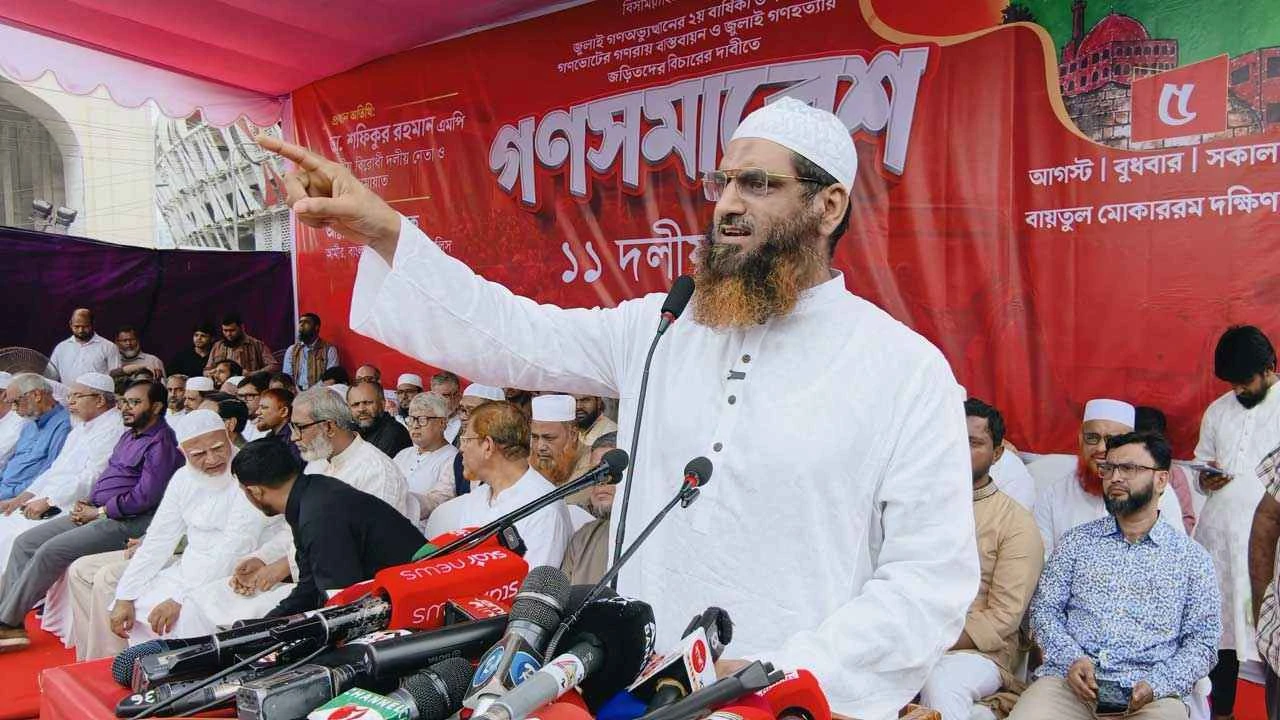 প্রয়োজনে আবার মাদরাসাগুলো থেকে ‘আবাবিল’ রাজপথে নেমে আসবে: মামুনুল হক
