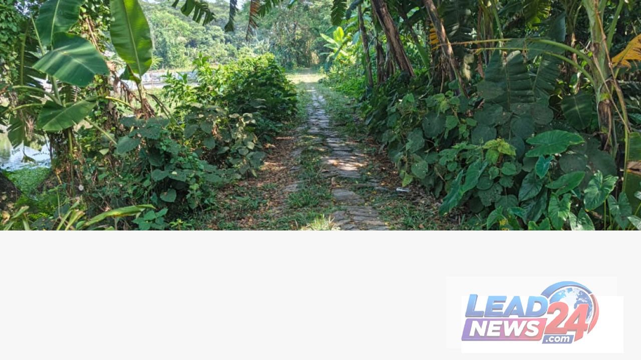 ২৫ বছর ধরে শুধুই অবহেলা! পটুয়াখালীর দুমকিতে ০.৮৫০ কিলো রাস্তা যেন একেকটি মরণফাঁদ, তারেক রহমানের হস্তক্ষেপ চান প্রতিবন্ধী মরিয়ম